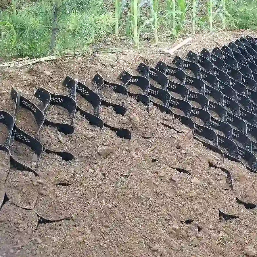 Soil Stabilization Services